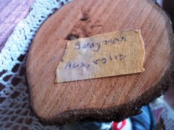swagman 13_02